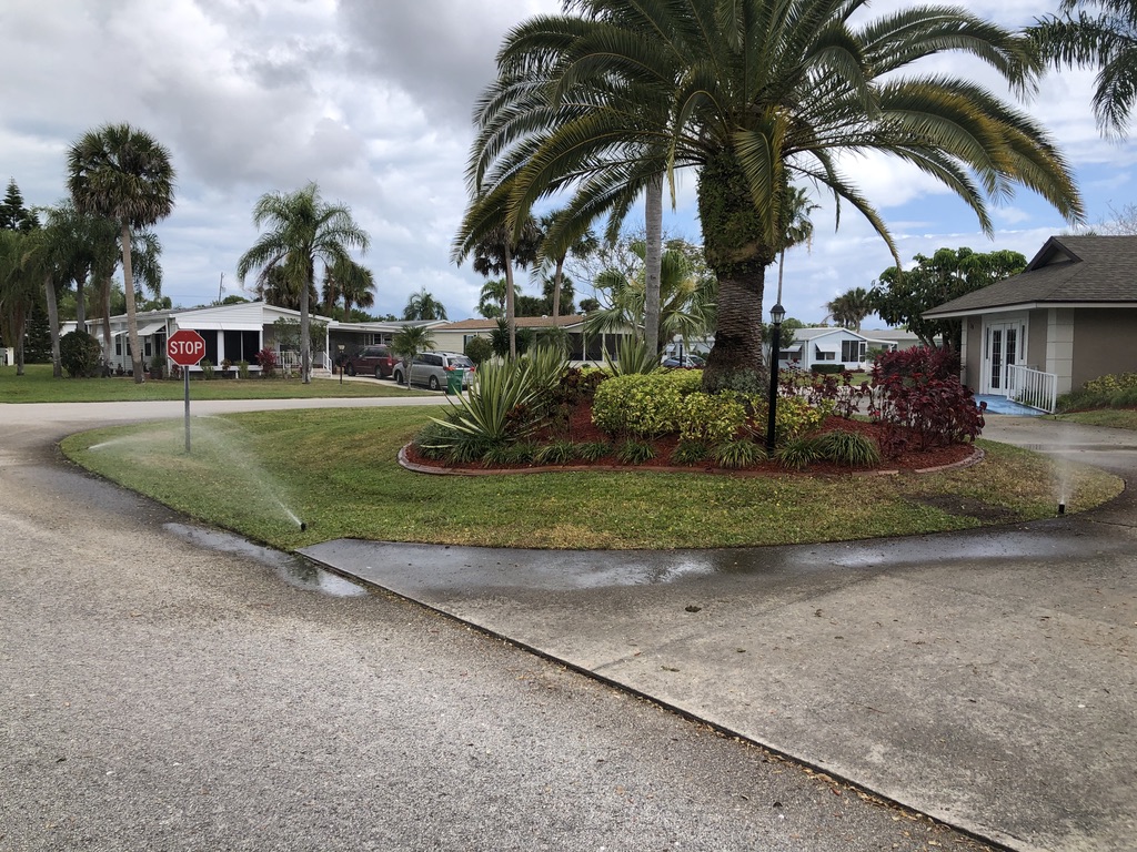 Property with tropical landscaping and palm trees