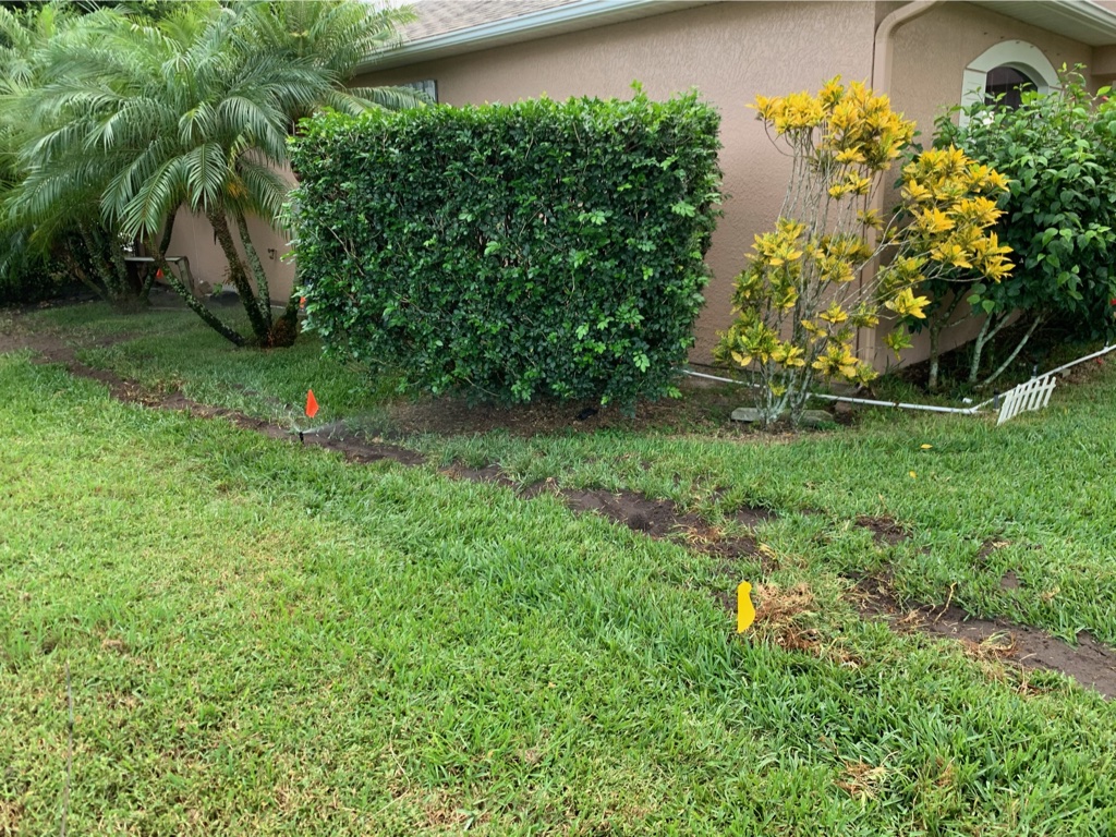 Sprinkler system working with new plantings