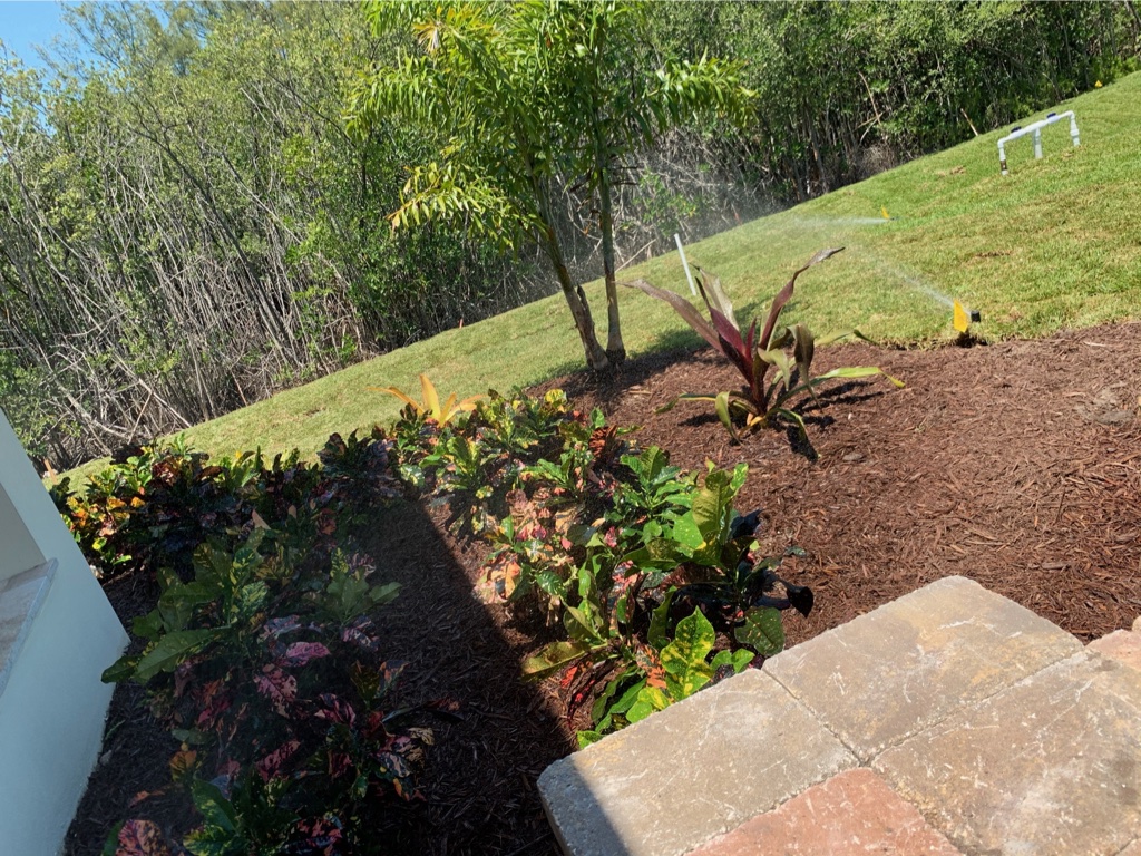 Irrigation line installation in progress